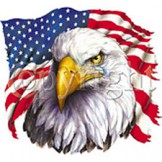 Patriotic Shirts