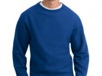 Super Heavyweight Crewneck Sweatshirt – F280