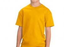 Youth Essential T-Shirt – PC61Y