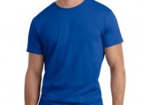 Hanes Nano-T Cotton T-Shirt 4980